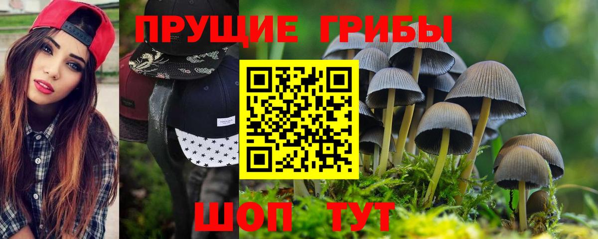 Псилоцибиновые грибы GOLDEN TEACHER Казань
