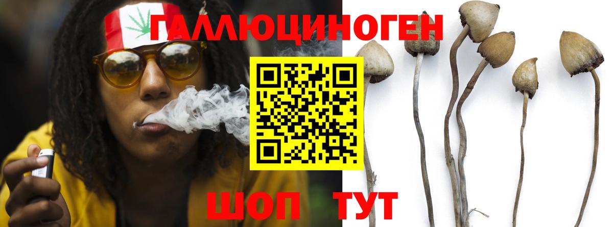 Псилоцибиновые грибы прущие грибы  Вход с VPN  Галлюциногенные грибы мухоморы  Казань 